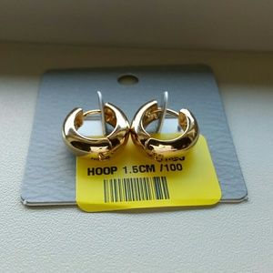 Gold Tone Hoop Earrings